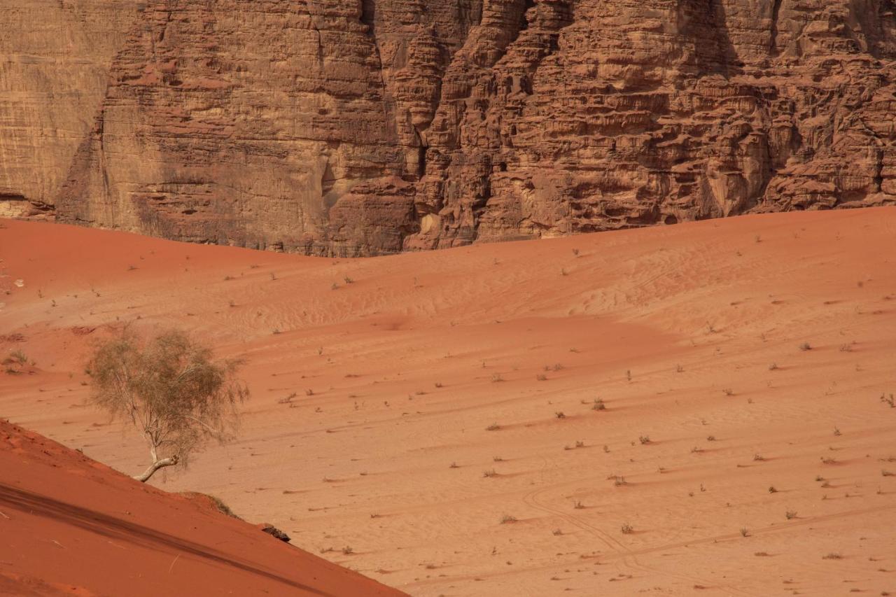 Wadi Rum Bright Moon Exteriér fotografie